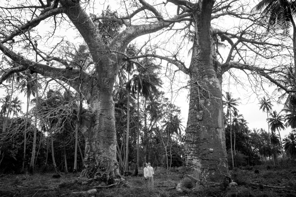 Honeymoon in Zanzibar, Tanzania, Evelina Korneevets photographer, #19945