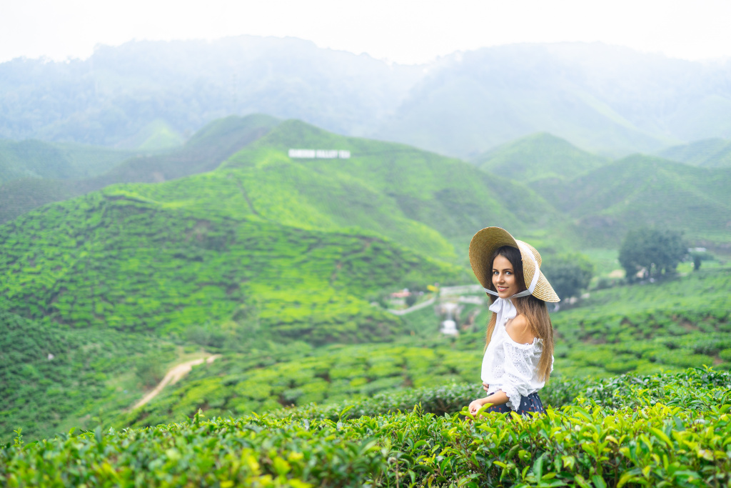 Tea plantations lovestory, Malaysia, Anatolii Seregin photographer, #26546