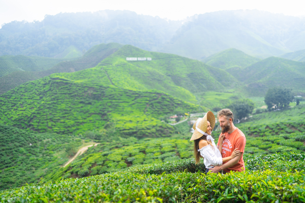 Tea plantations lovestory, Malaysia, Anatolii Seregin photographer, #26548