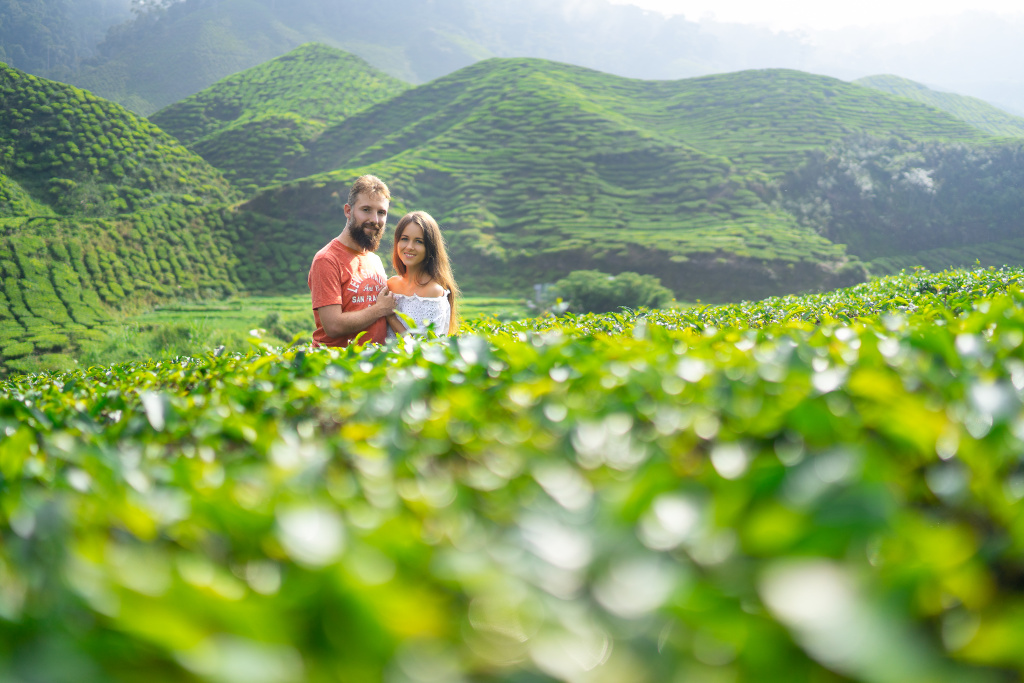 Tea plantations lovestory, Malaysia, Anatolii Seregin photographer, #26553