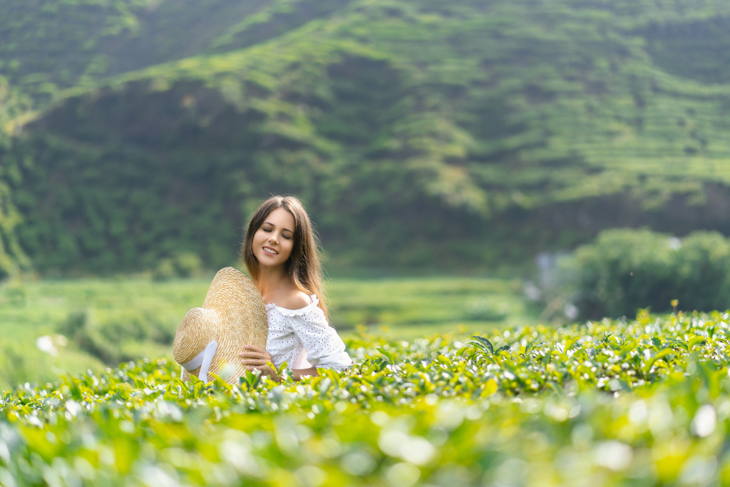 Tea plantations lovestory, Malaysia, Anatolii Seregin photographer, #26568