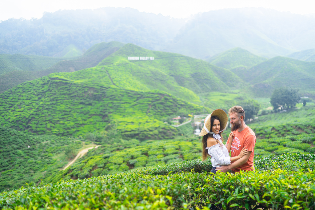 Tea plantations lovestory, Malaysia, Anatolii Seregin photographer, #26549