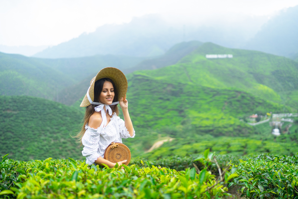 Tea plantations lovestory, Malaysia, Anatolii Seregin photographer, #26543