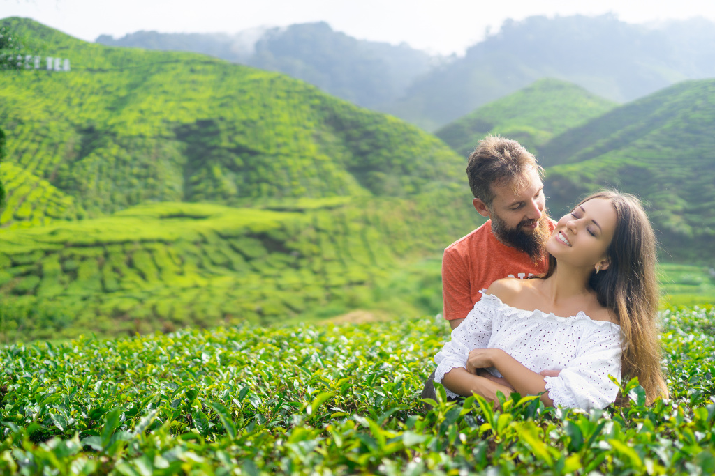 Tea plantations lovestory, Malaysia, Anatolii Seregin photographer, #26552