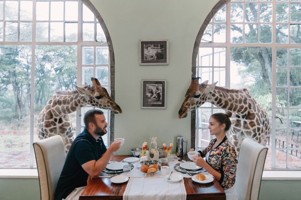 Giraffe Manor engagement photographer