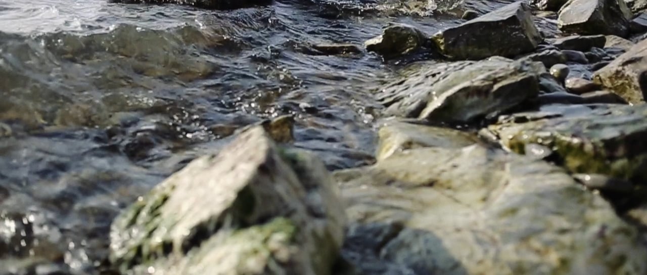 Ilya Maksyutov photographer, #2326