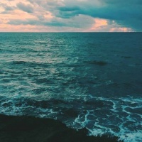 Photographer Vesta Miaau | Reviews