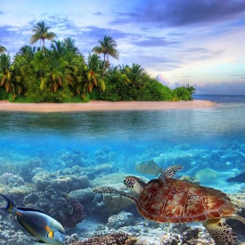 Solomon Islands
