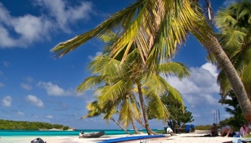 Trinidad & Tobago