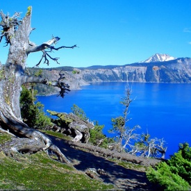 United states photographer