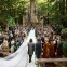 Sean Parker's Big Sur Wedding in Vanity Fair