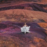 Mauriitus destination wedding