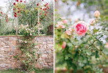 Romantic wedding with a symbolic ceremony in Lucca, through the olives of the Tuscan countryside