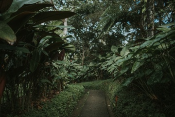 iniBudi Photo, #10759