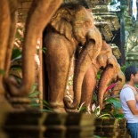 Lovely couple shoot in Koh Samui