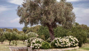 A beautifull and simple Wedding day at Samothraki island