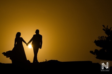 Nestor Zavarce, #22028