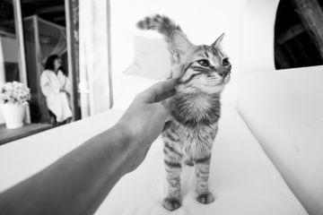 Evelina Korneevets, #22839