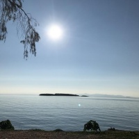 Photographer Janna S | Reviews