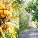 Wedding in Mauritius