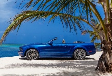 Honeymoon Photoshoot ONLY FOR 350 USD!!!!!