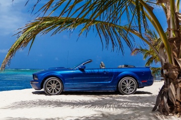 Dmitry Filippov, #869